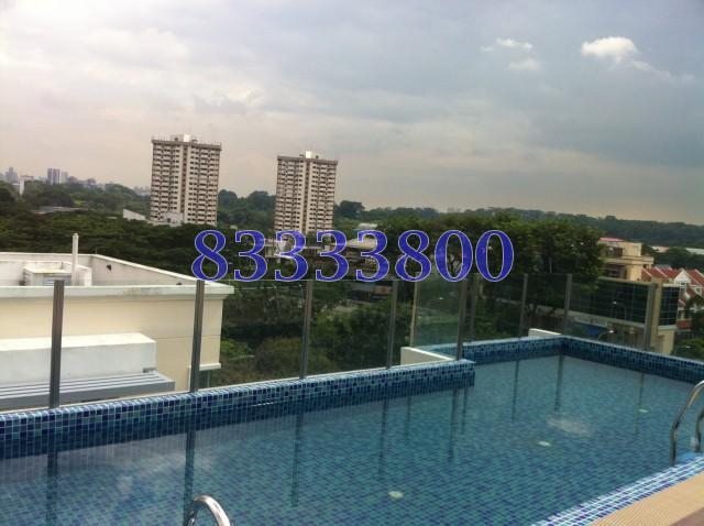 Dunearn Suites (D11), Apartment #114339672